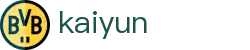 开云（kaiyun）官网首页 - 安全合规通道及资产门户